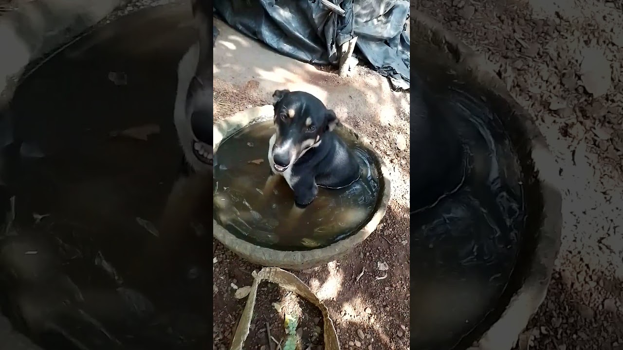चला bath tub