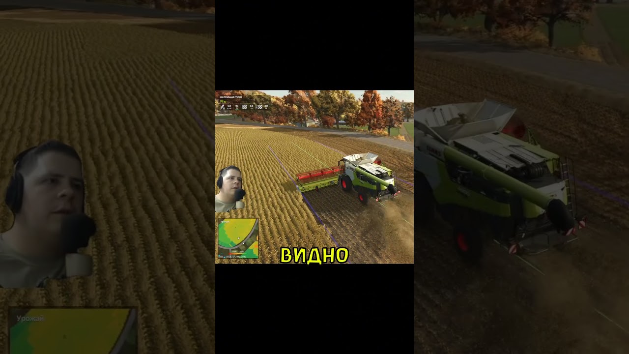 Немного проредил лесочек 🌲 #farmingsimulator25 #farmingsimulator22 #fs25 #fs22 #simulator