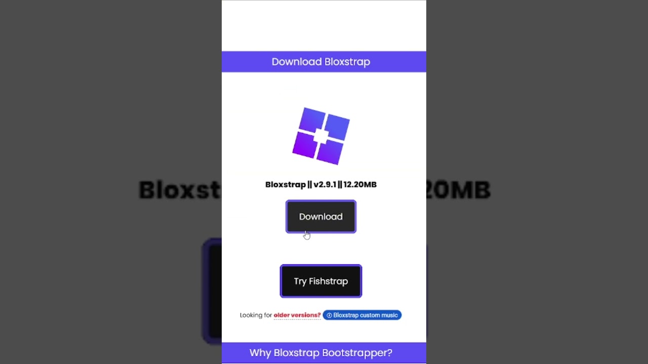 How to run multiple roblox accounts simultaneously #roblox #fishstrap