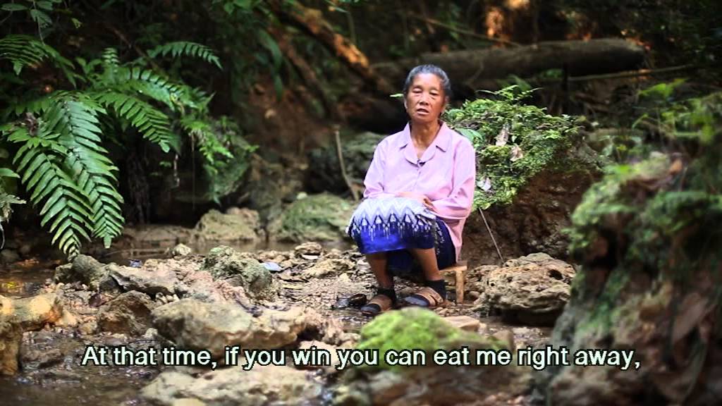 How the Tiger Became Black and Yellow - A Hmong Folktale (as told by Vah Lao)