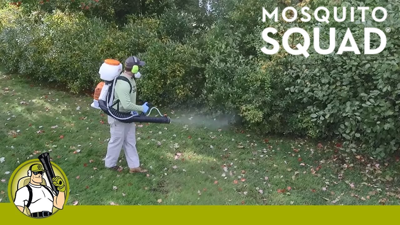Mosquito Squad of Chelmsford & Cambridge - Quality Services