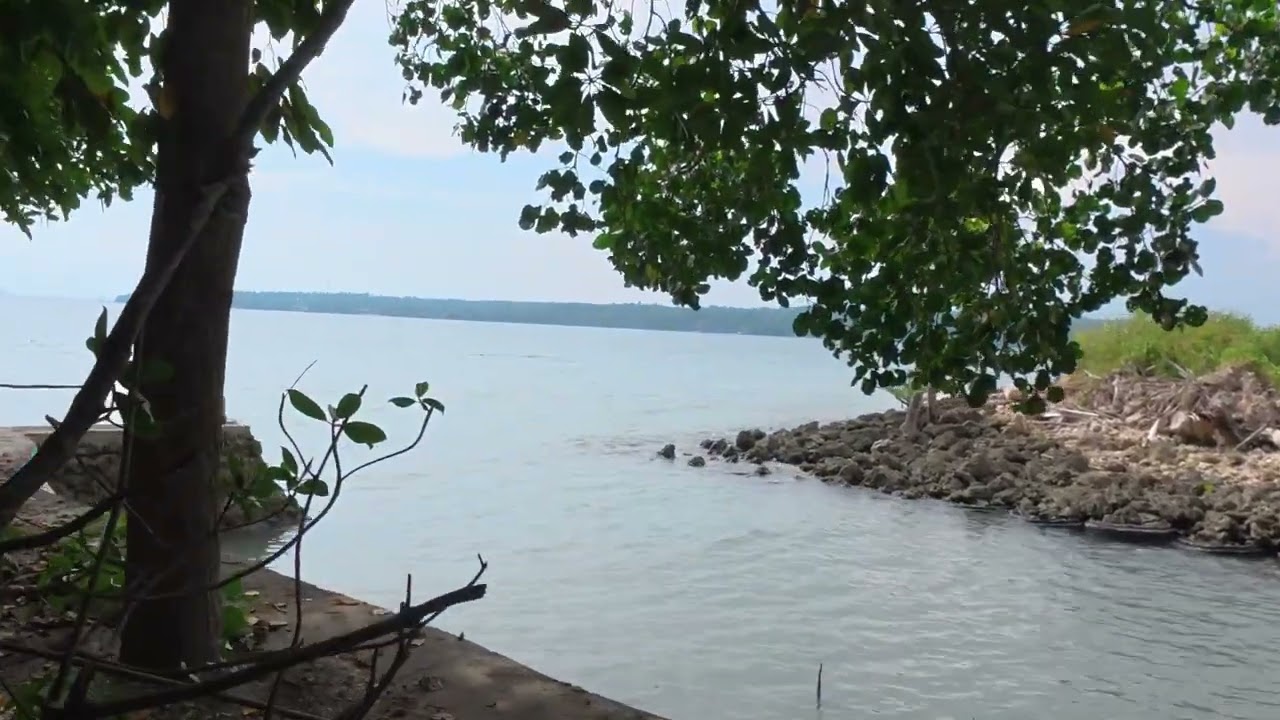 For Sale Beach Front Home in Samal Island (Part 4)