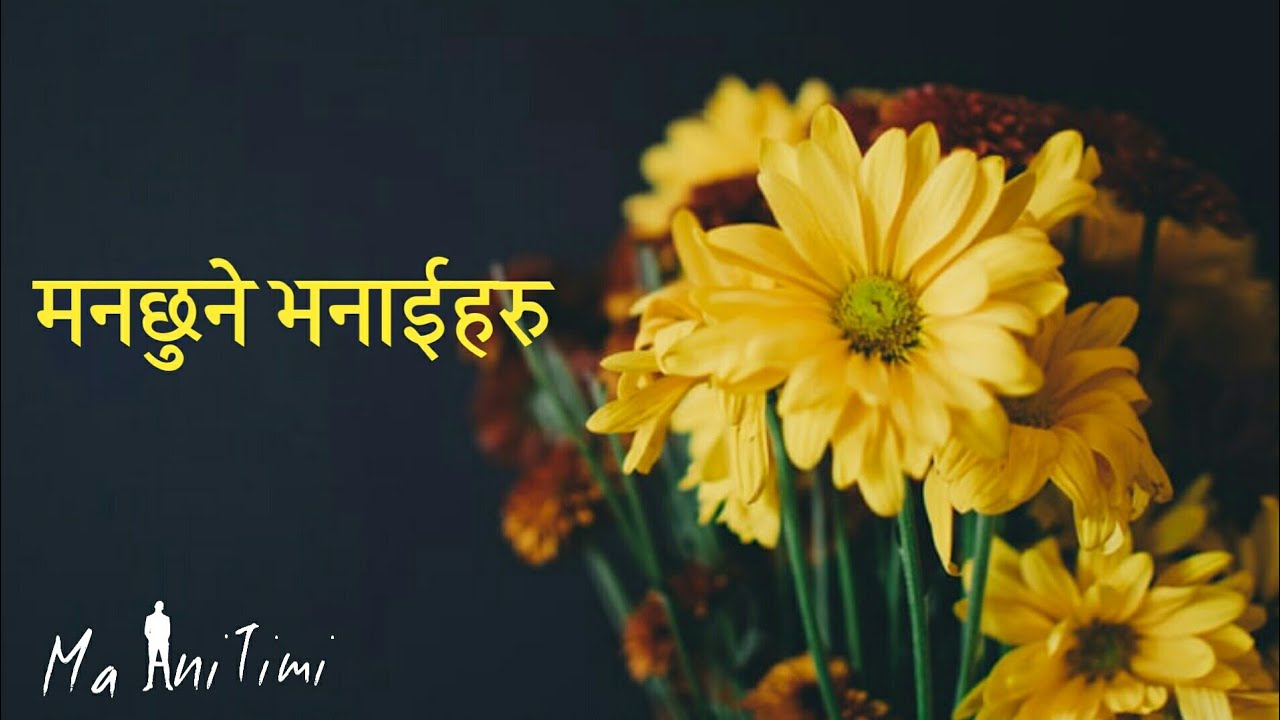 Quotes nepali | man chune bhanai haru | nepali status | ma ani timi