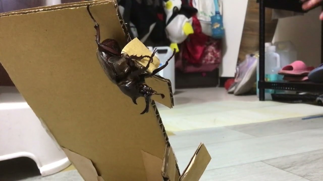 妳是誰