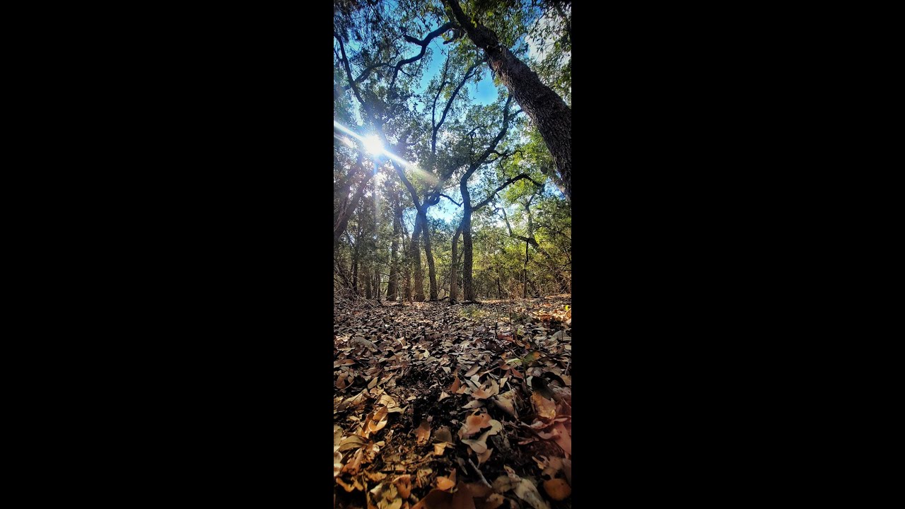 Ancient Texas Indian Mounds