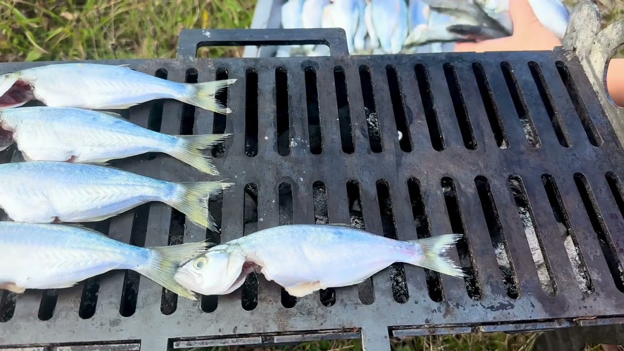 Grilled bluefish with garlic and sour cream sauce