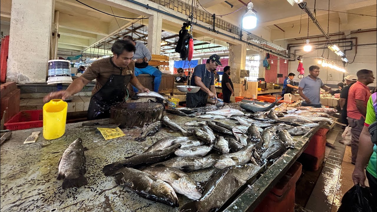 ताजा माछा, मासु र फलफूल कता किन्ने wet market visit on Sunday #nepalivlog #groceries #brunei 