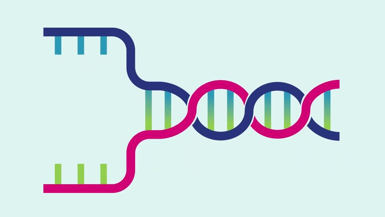 What is Bionanotechnology?