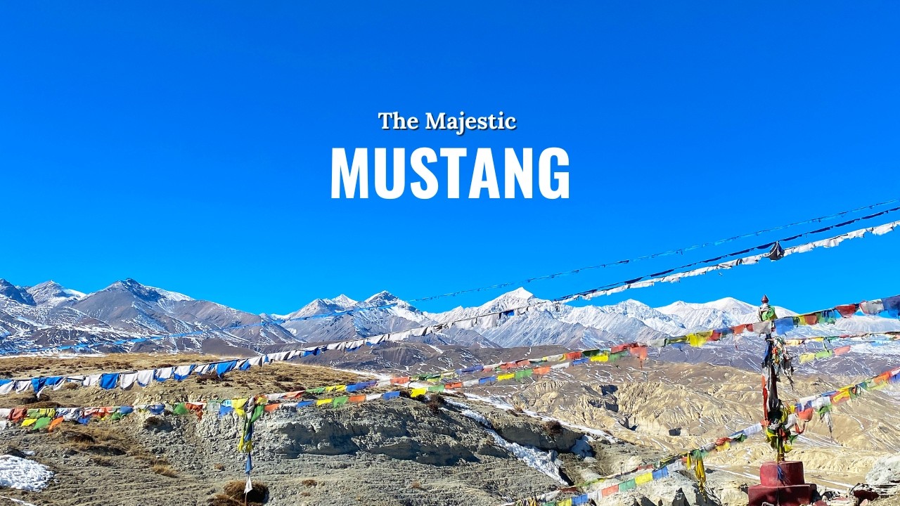 The Majestic Mustang - Raw video clips