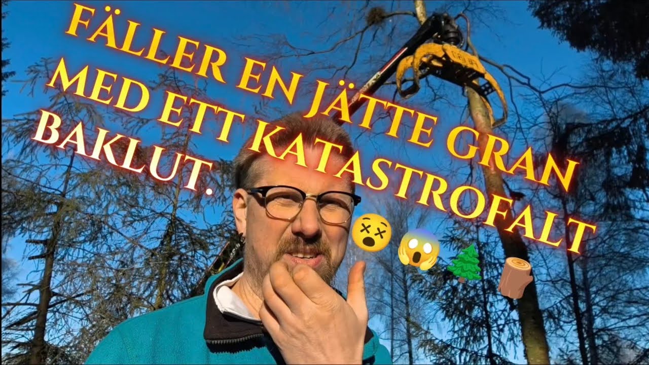 Går det ens att få omkull den här granen åt det hållet som jag vill 😬🤷🏽