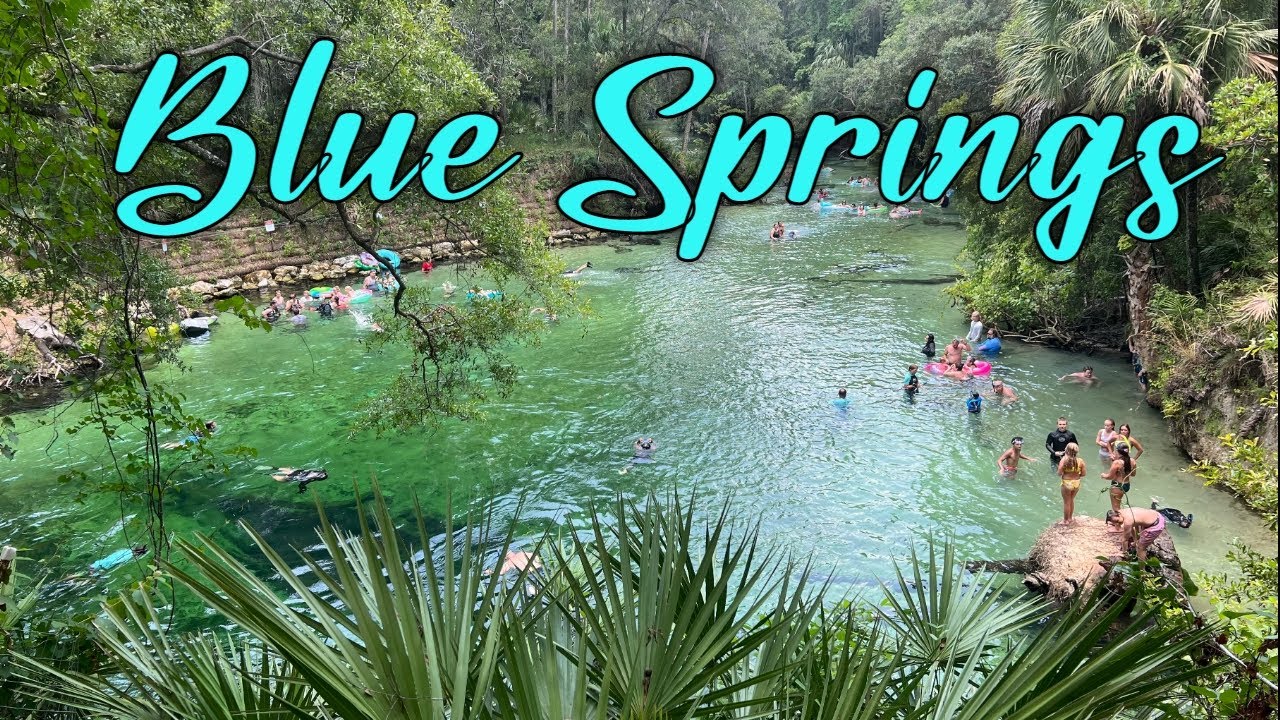 3 Fun Activities To Do At Blue Spring State Park In Orange City, Florida