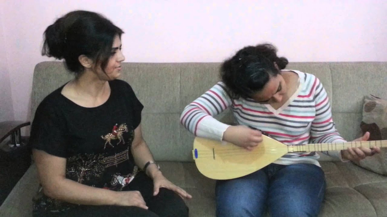 Özden ÇELİK Verin Zehirleri