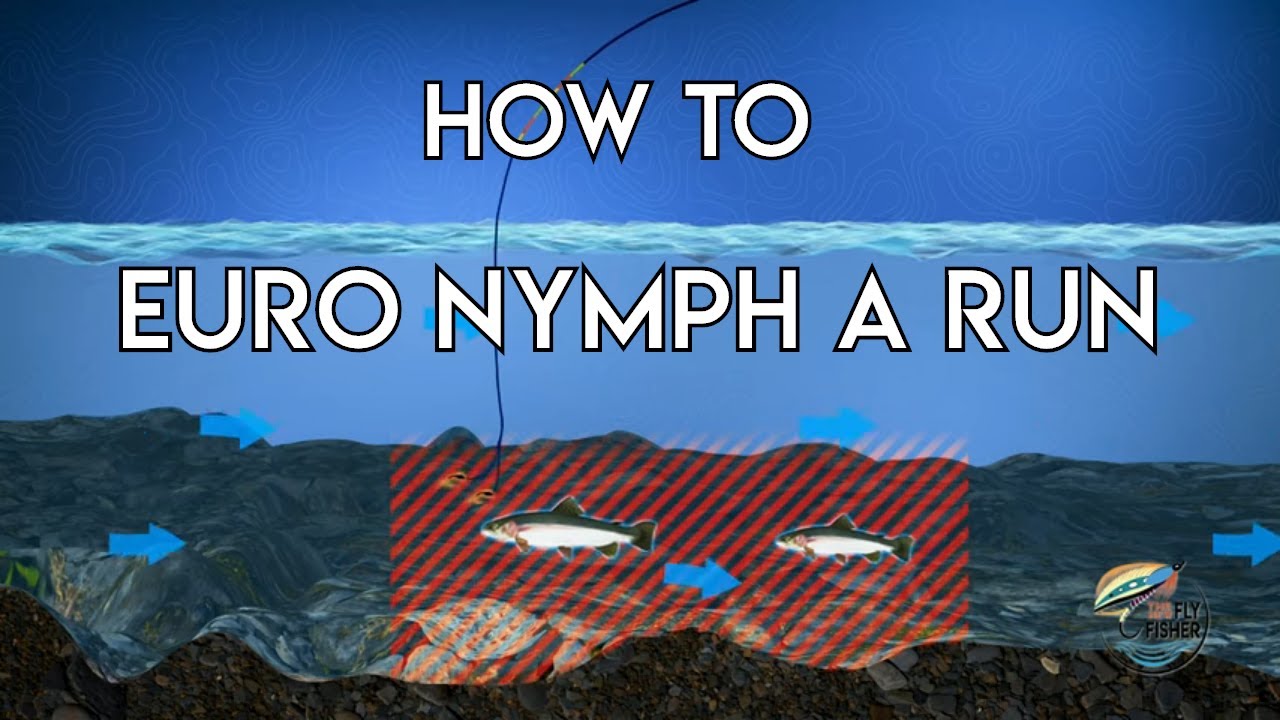 Euro Nymphing a Run | How To