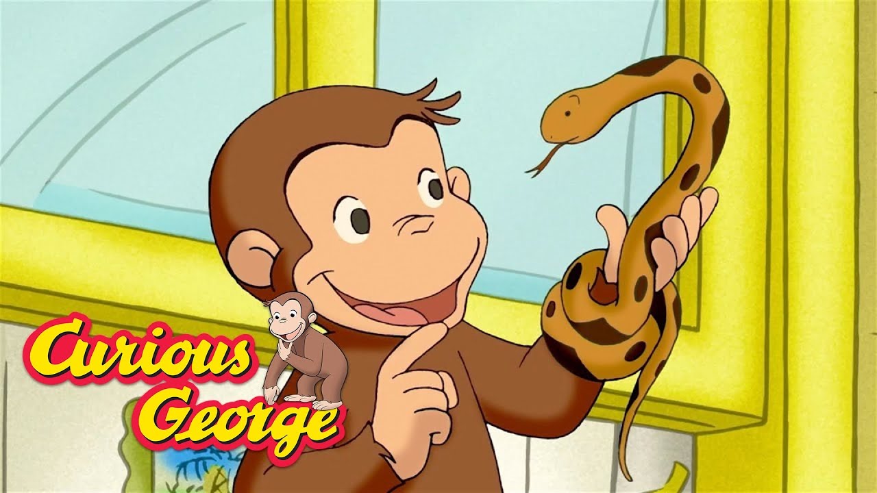 George the Snake Catcher!  🐵 Curious George 🐵 Kids Cartoon 🐵 Kids Movies