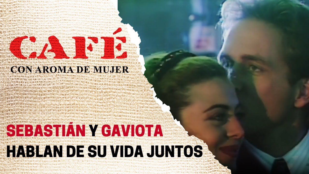 Sebastián y Gaviota hablan sobre cómo será su casa | Café, con aroma de mujer