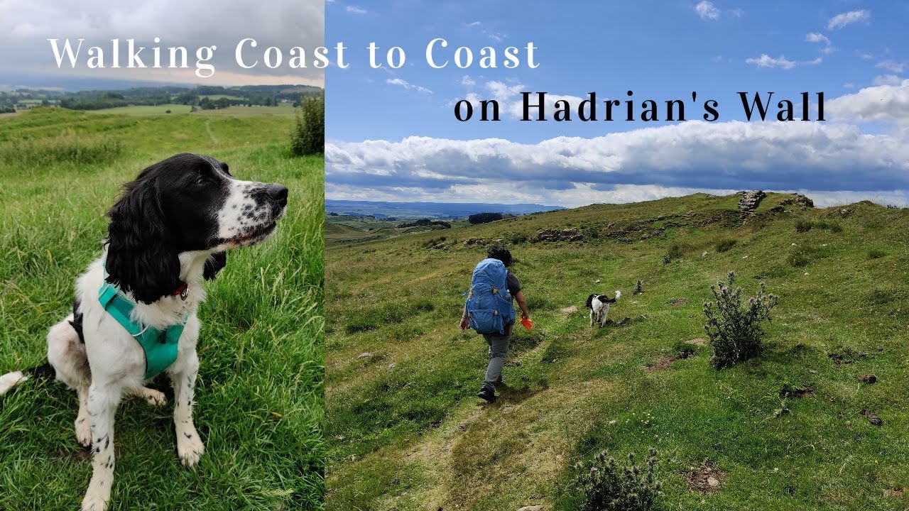 My Guide to Walking the Hadrian's Wall Path (with my Dog) | Part 1