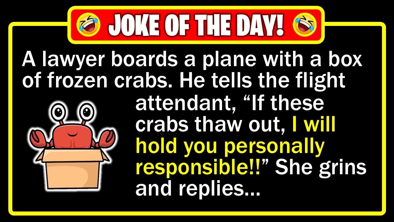 🤣 BEST JOKE OF THE DAY! - An airplane, crabs, a loud lawyer, and sweet justice... | Funny Dad Jokes