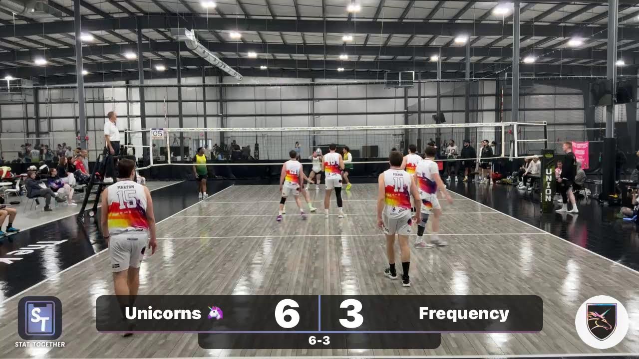 Unicorns 🦄 vs Frequency