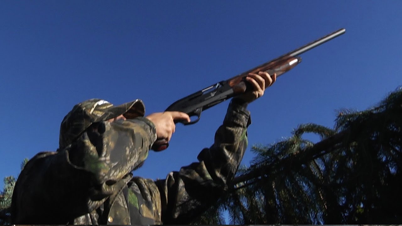 A caccia con il semiautomatico Benelli Colombo