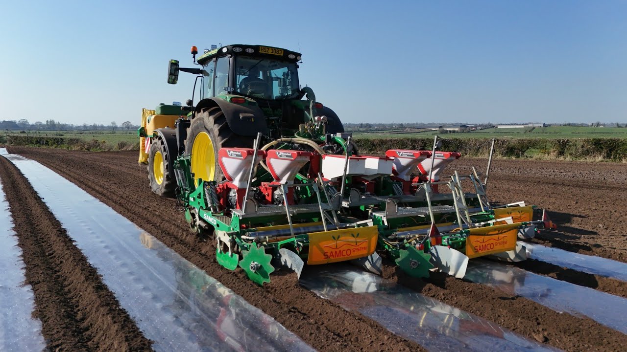 Maize (corn) planting 2025
