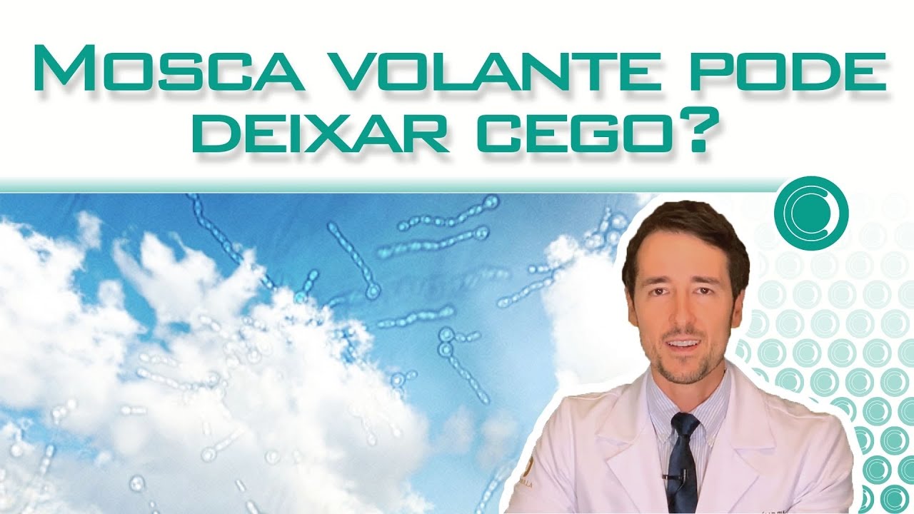 Mosca volante pode deixar cego ?