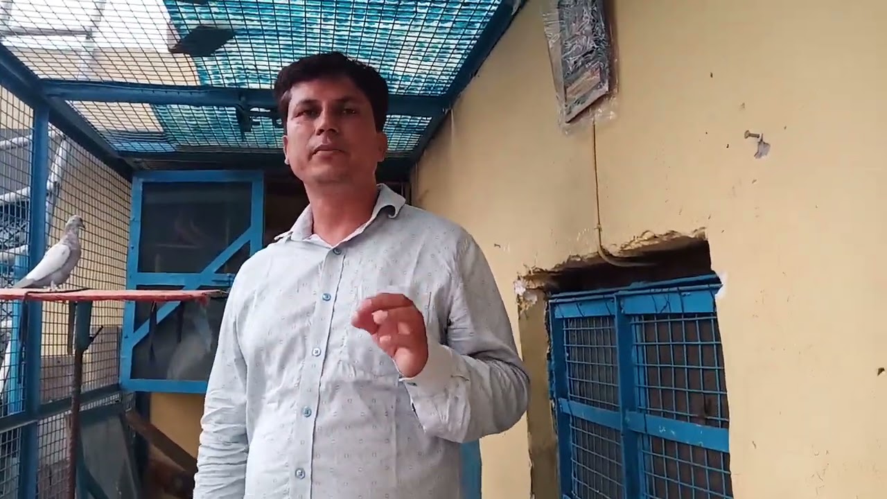 Garmi Mein Kabootar kam Kyon udane lag Jaate Hain( mr.bhura sharma)8178125040