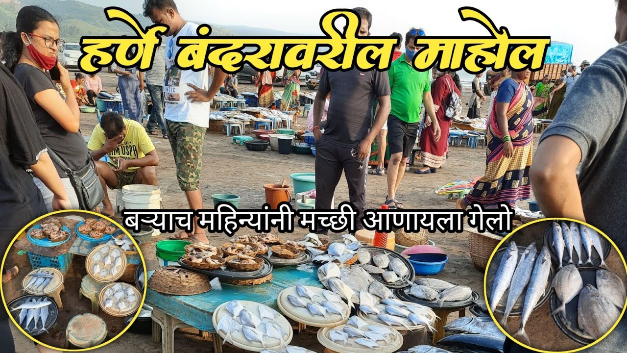 हर्णे फिश मार्केट मधील माश्यांचा लिलाव Fish Auction🐠। Harnai Fish Market।#fishmarket #youtube #viral