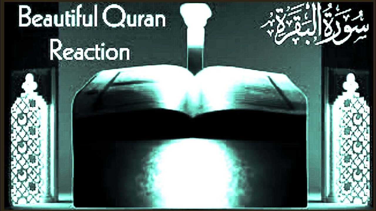 Surah Baqarah (Fast Recitation) Quick Reading By Sheikh Mishary Afasy With Arabic  سورة البقره Ep118