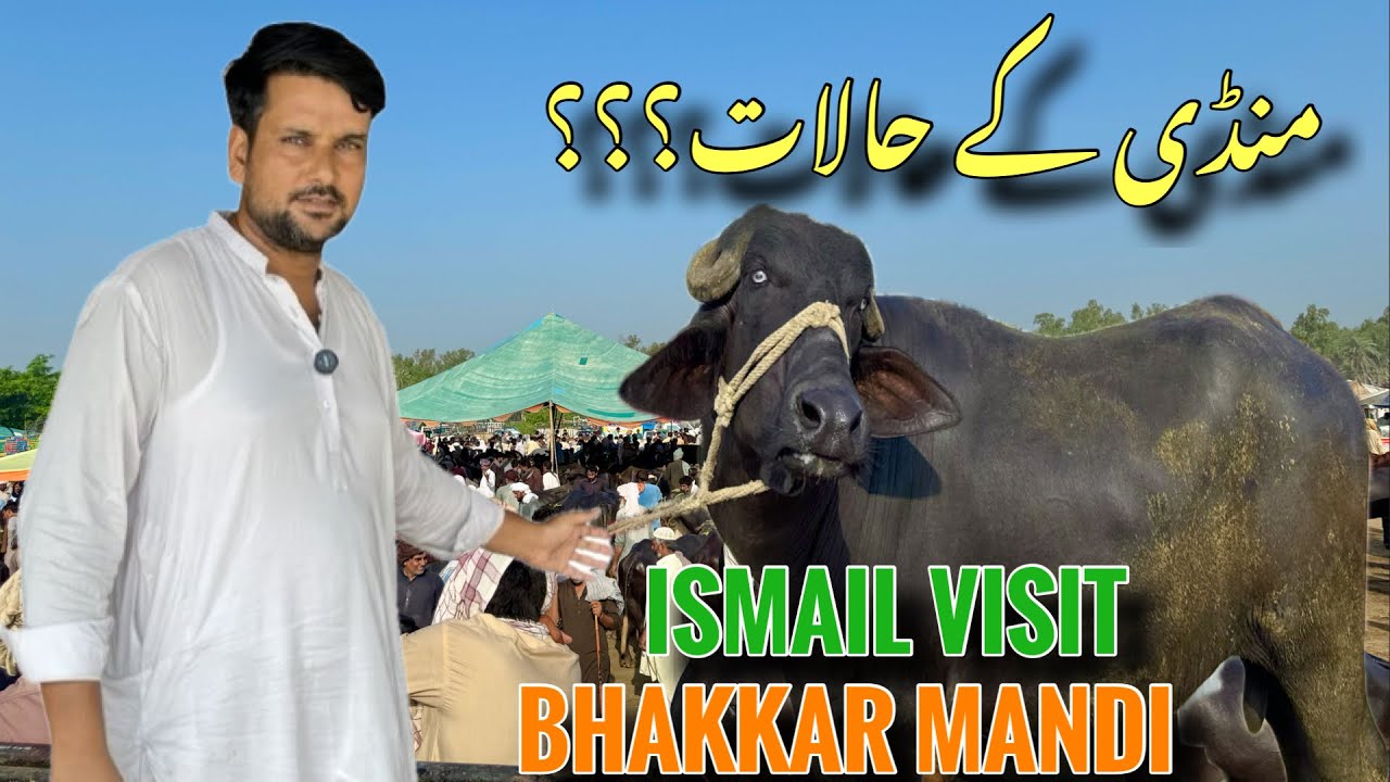 Today Ismail Jutt Visit  bhakkar Mandi