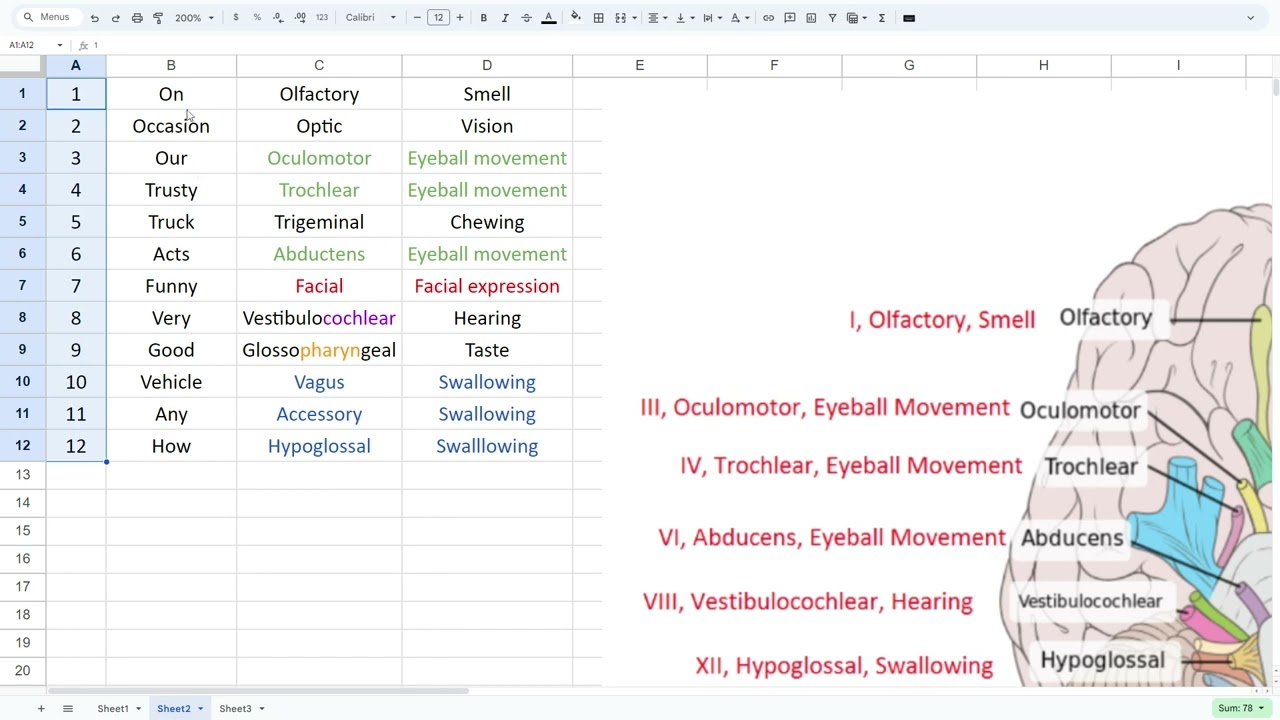 ARRT MRI Registry Exam Review - Part 1