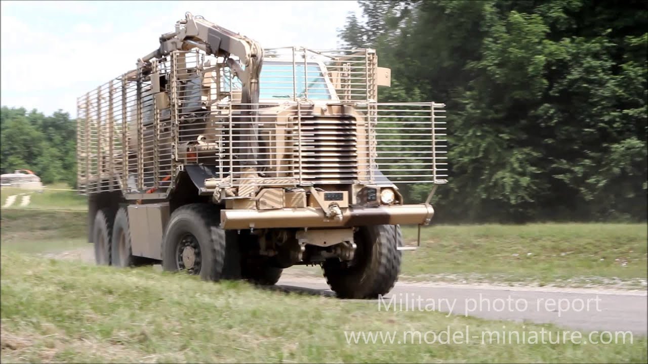 Buffalo et Aravis du 13eme régiment du génie