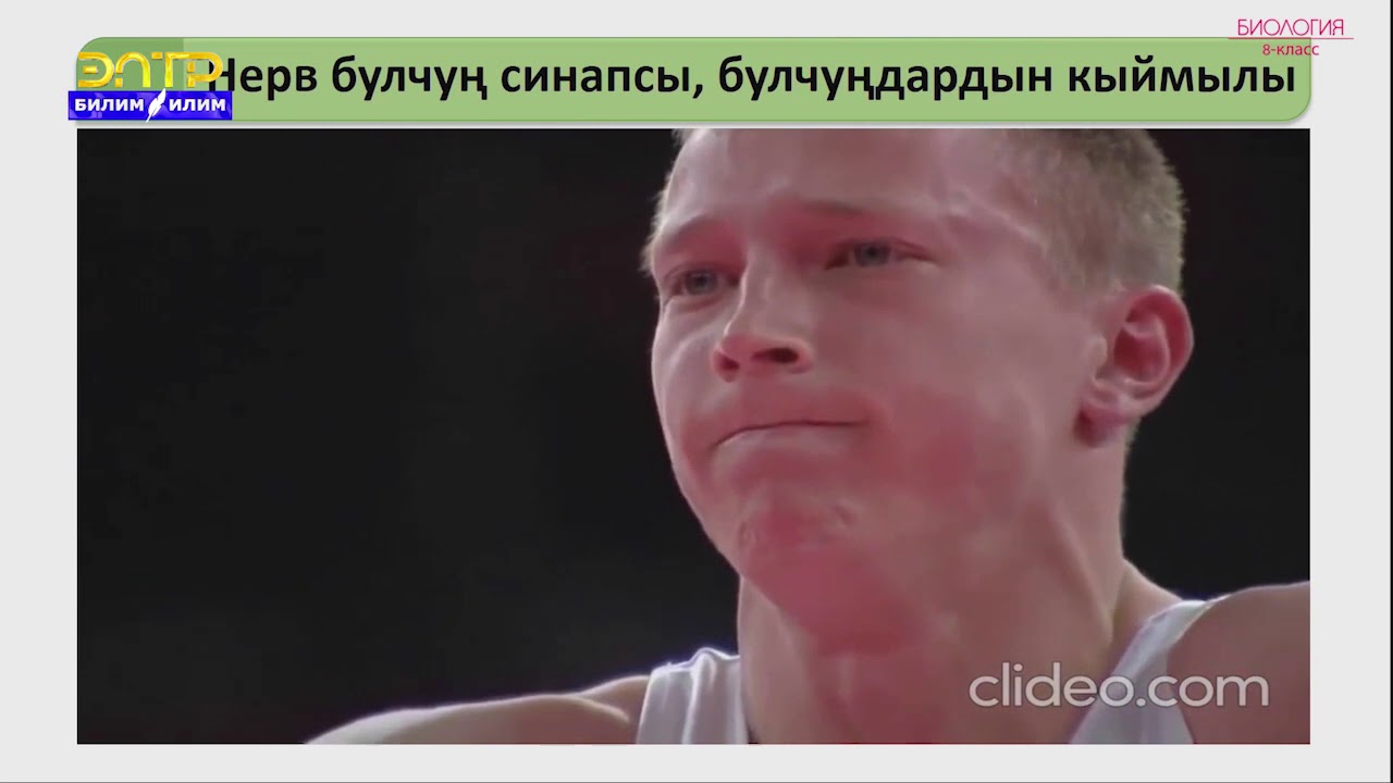 8-класс | Биология | Булчуңдун түзүлүшү жана кызматы