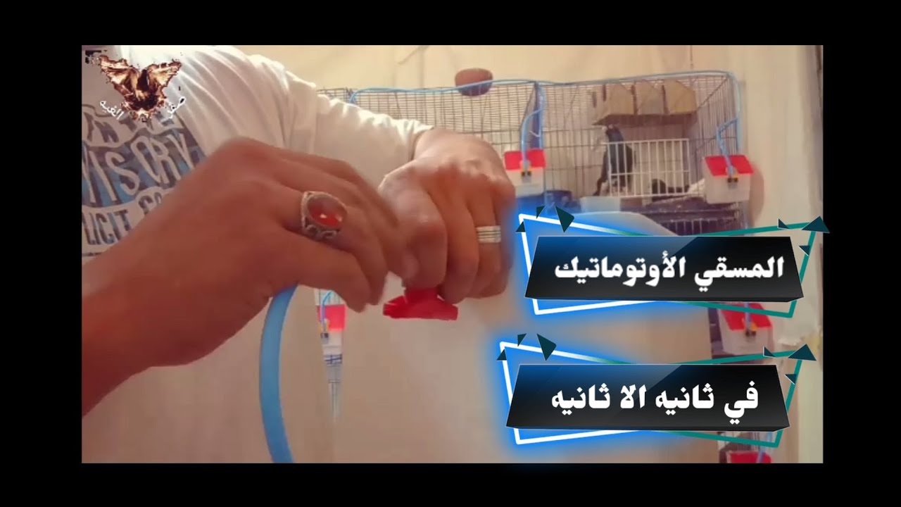 اسهل طريقة تركيب المساقي الاوتوماتيك للحمام #مهدي_هتلر