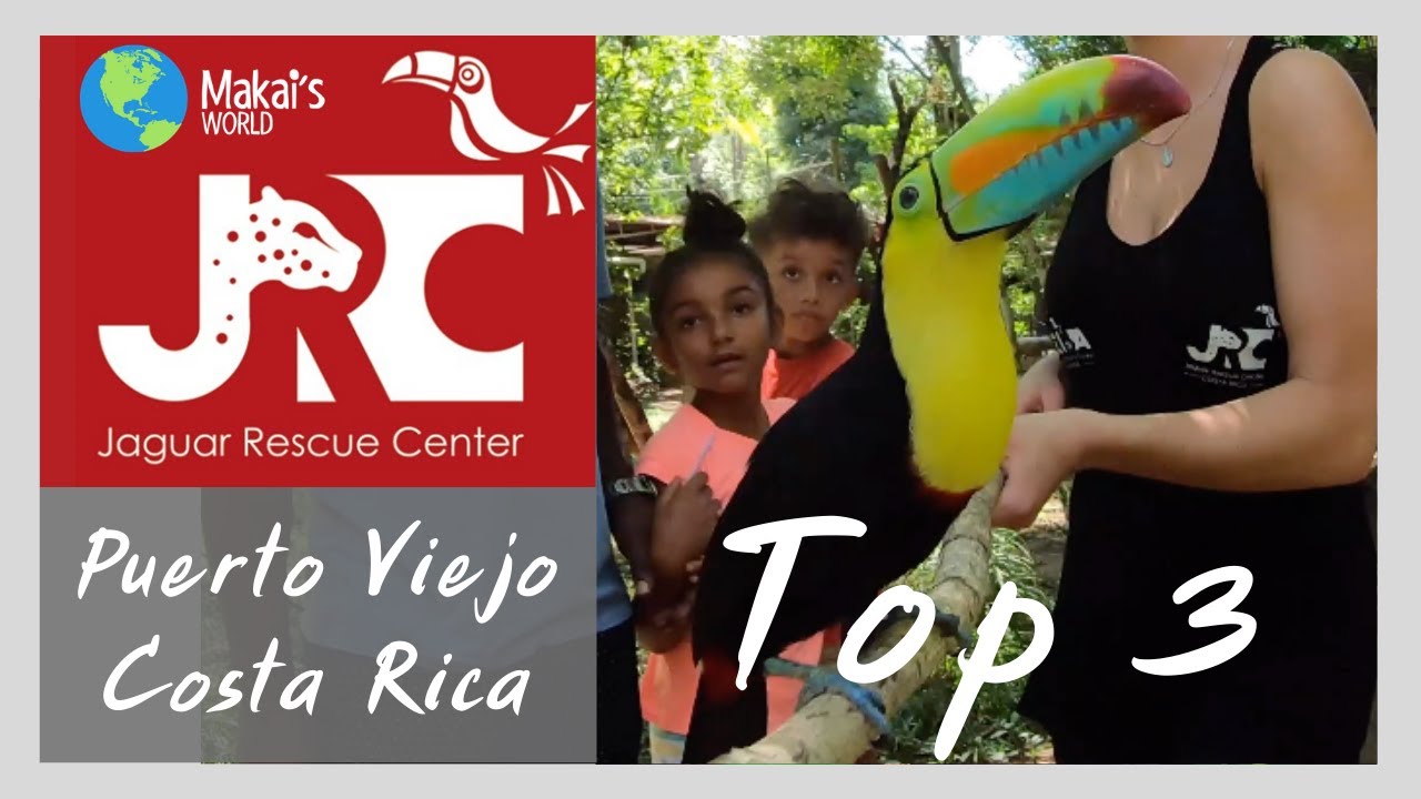 Top 3 Reasons to Visit the Jaguar Rescue Center in Puerto Viejo, Costa Rica