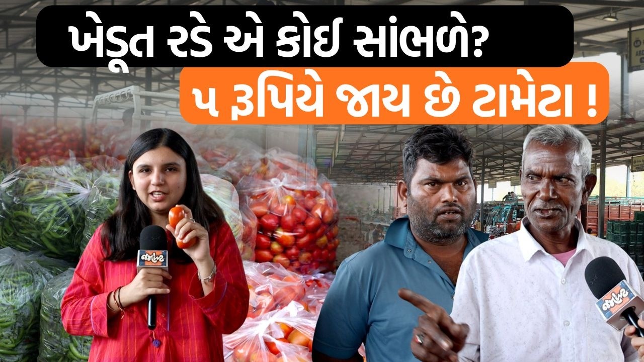 Ahmedabadની APMC માર્કેટમાં ફરીને સમજ્યું કે શાકભાજીના ભાવ આસમાને જાય કેમ છે? ખેડૂતોના ભાગે શું આવે?