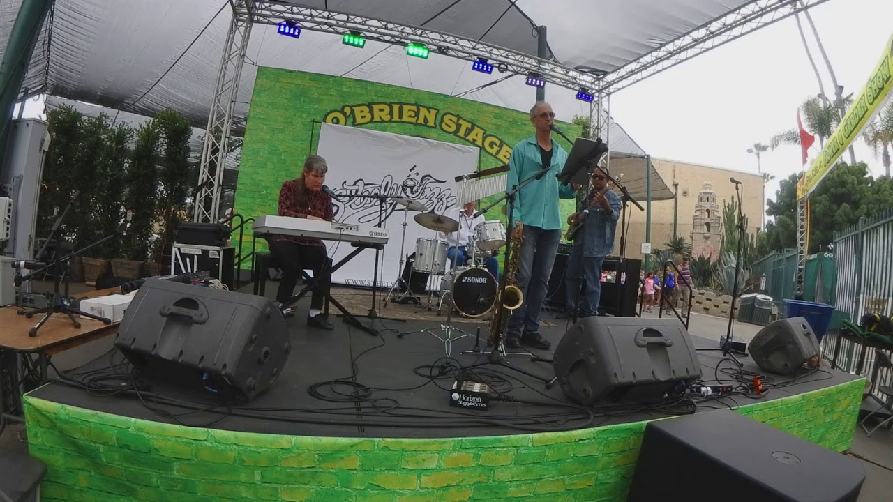 Steely Jazz - "Peg"