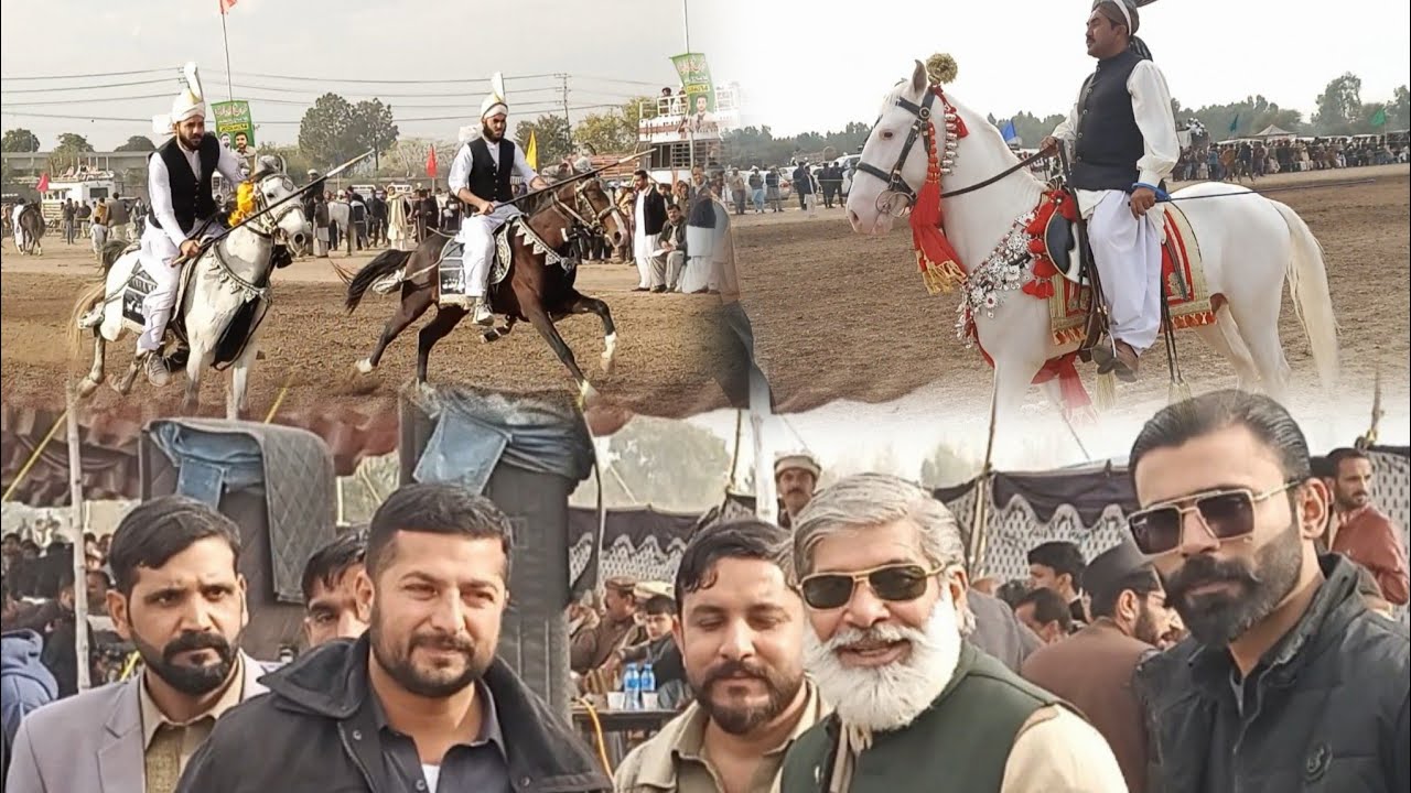 Tent Pegging Event Organize by Haji Ibrar Dildar Khan Khattar @Khattar1