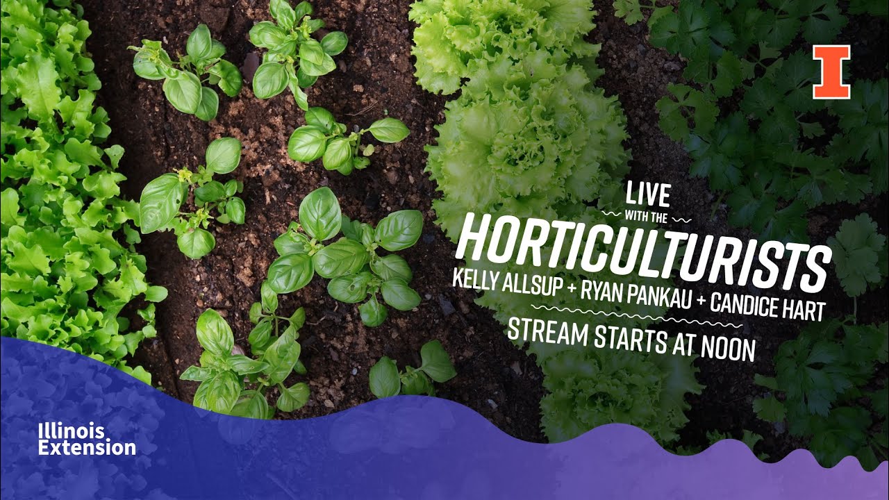 LIVE with the Horticulturists - Vegetable Gardening