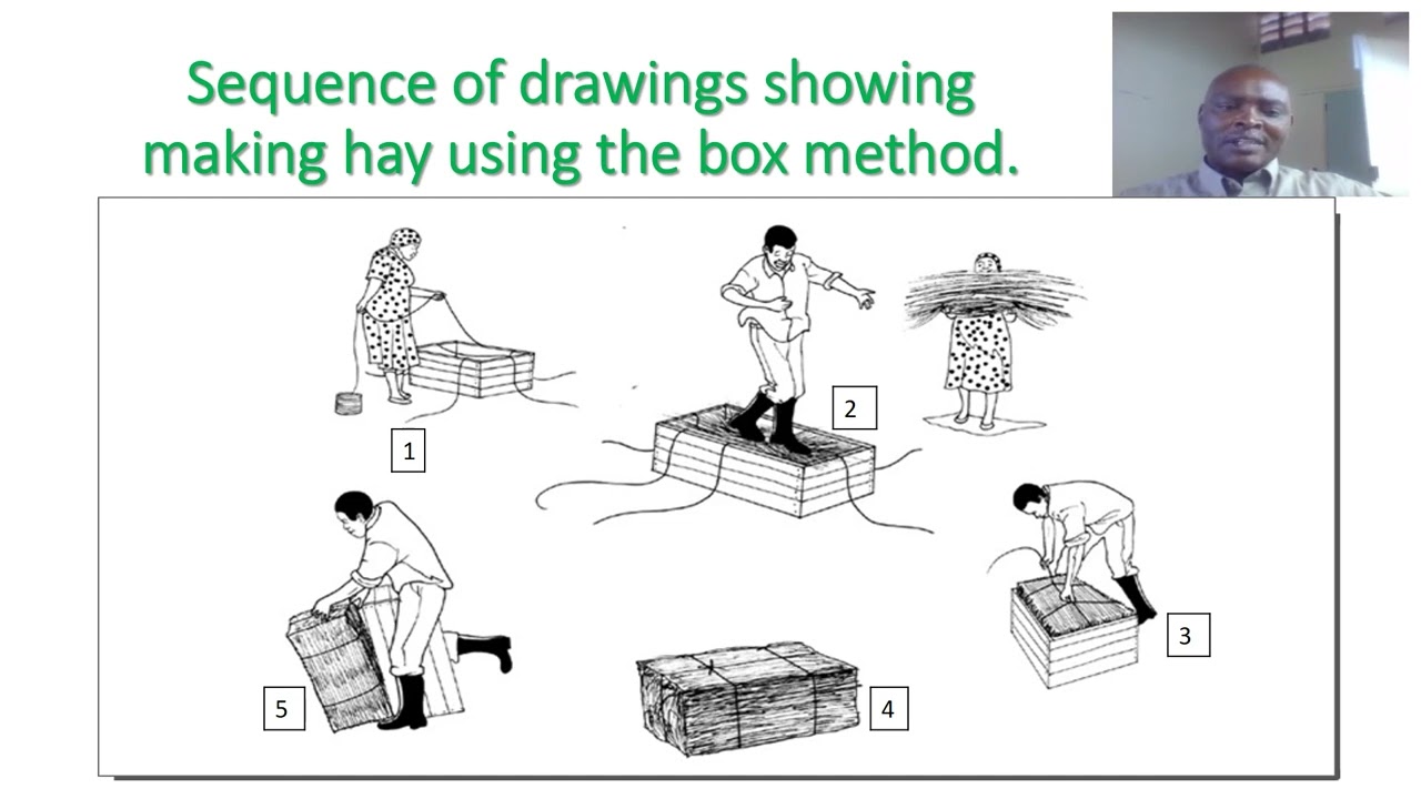 FORAGE HARVESTING AND CONSERVATION PPT  SLIDES
