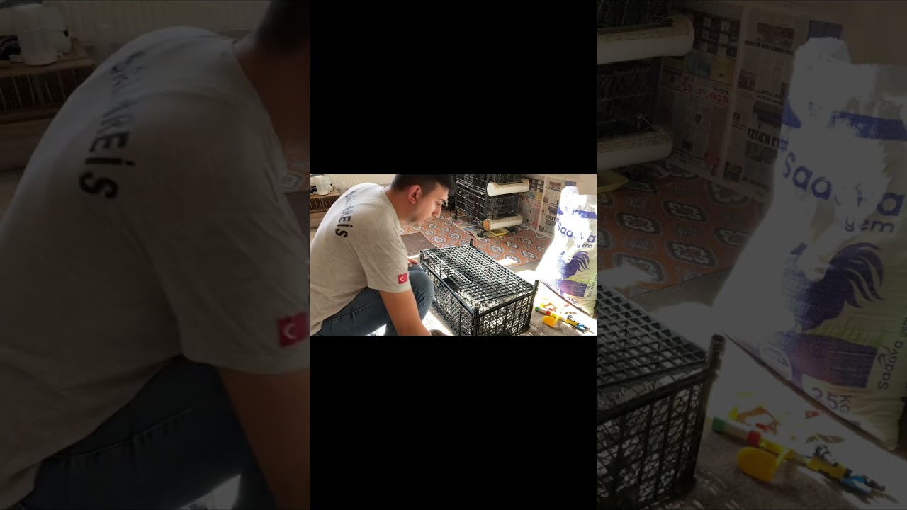 Plastik kasadan kafese kat arttırımı
