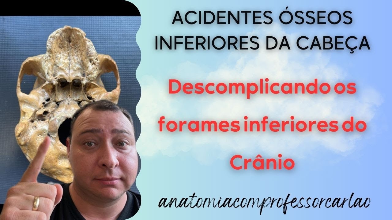 ACIDENTES ÓSSEOS INFERIORES DO CRÂNIO
