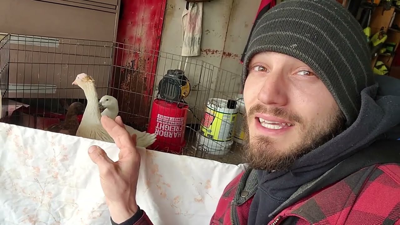 Расширение реабилитационного центра Guard Goose // Whitt Acres