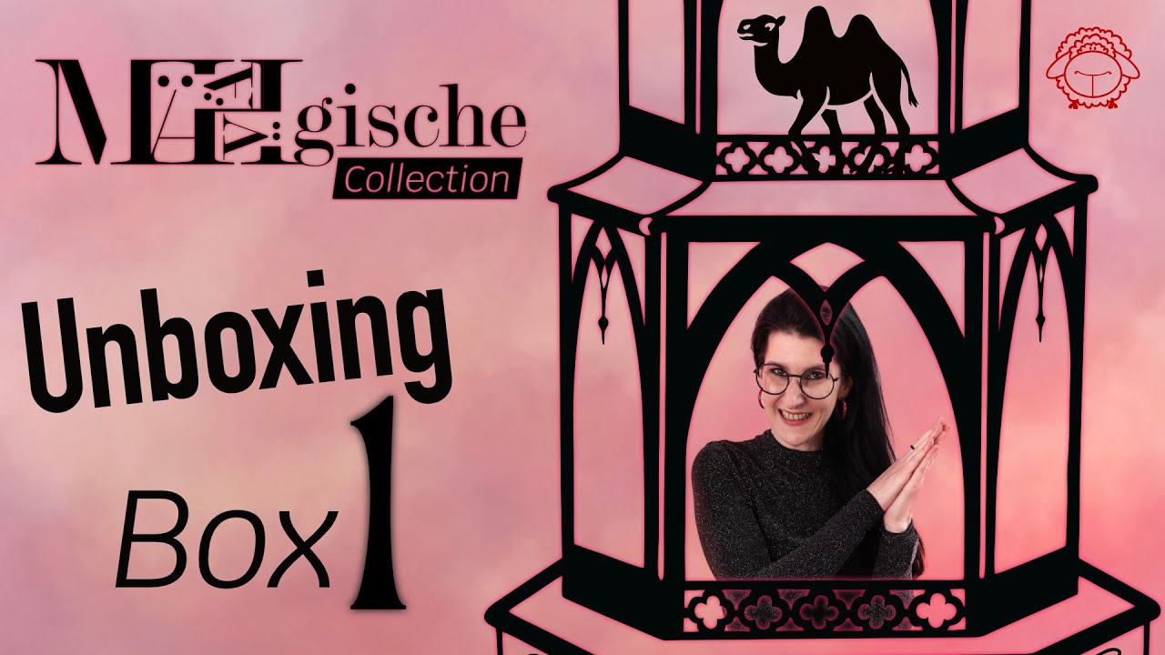 Weihnachtsbox: 7 Produkte und endlich gibt&rsquo;s DAS Tool im Shop! | schafTV
