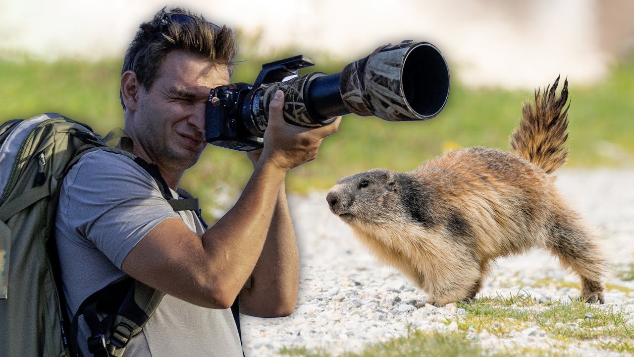 5 простых советов, как делать четкие фотографии
