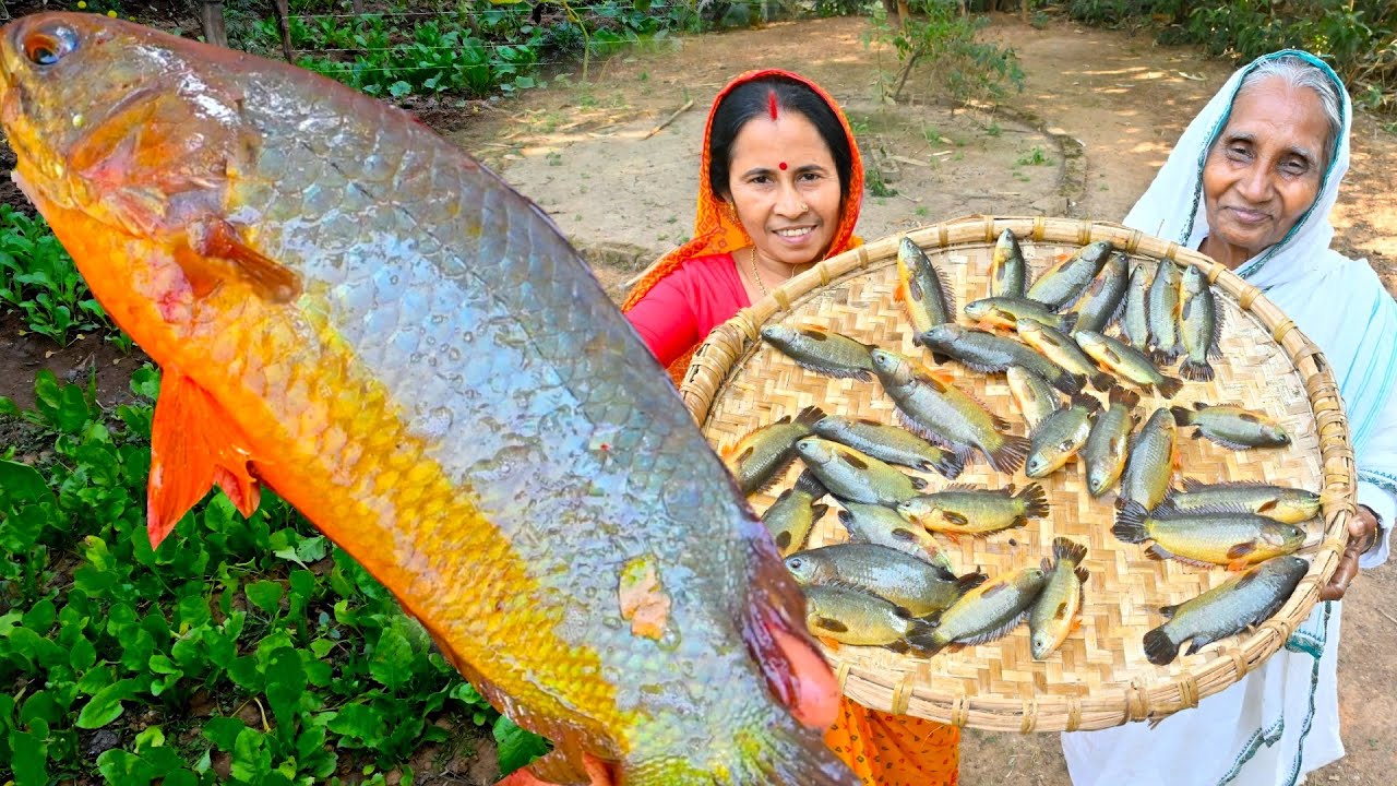 100 gram ওজনের শীতের হলুদ পাকা কই দিয়ে তেলকই রান্না | Winter special Paka Tel Koi recipe | villfood