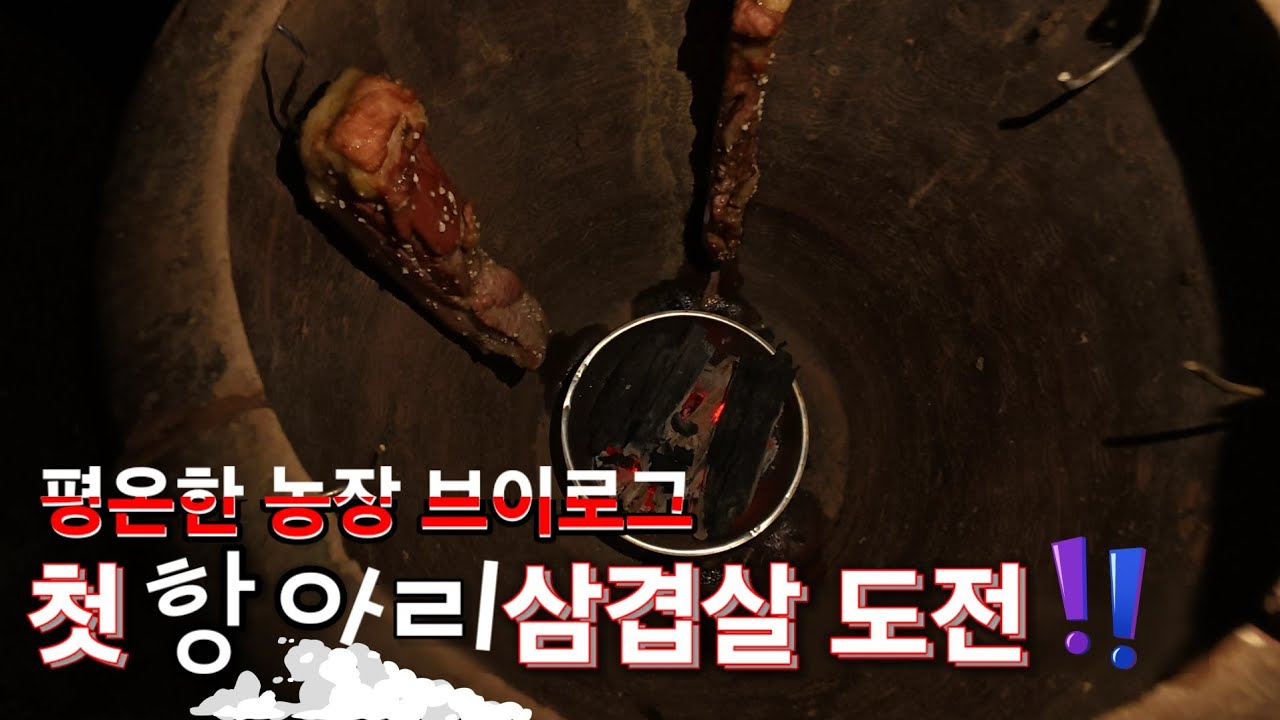 평온한 농장 브이로그..첫 항아리 삼겹살 도전!!