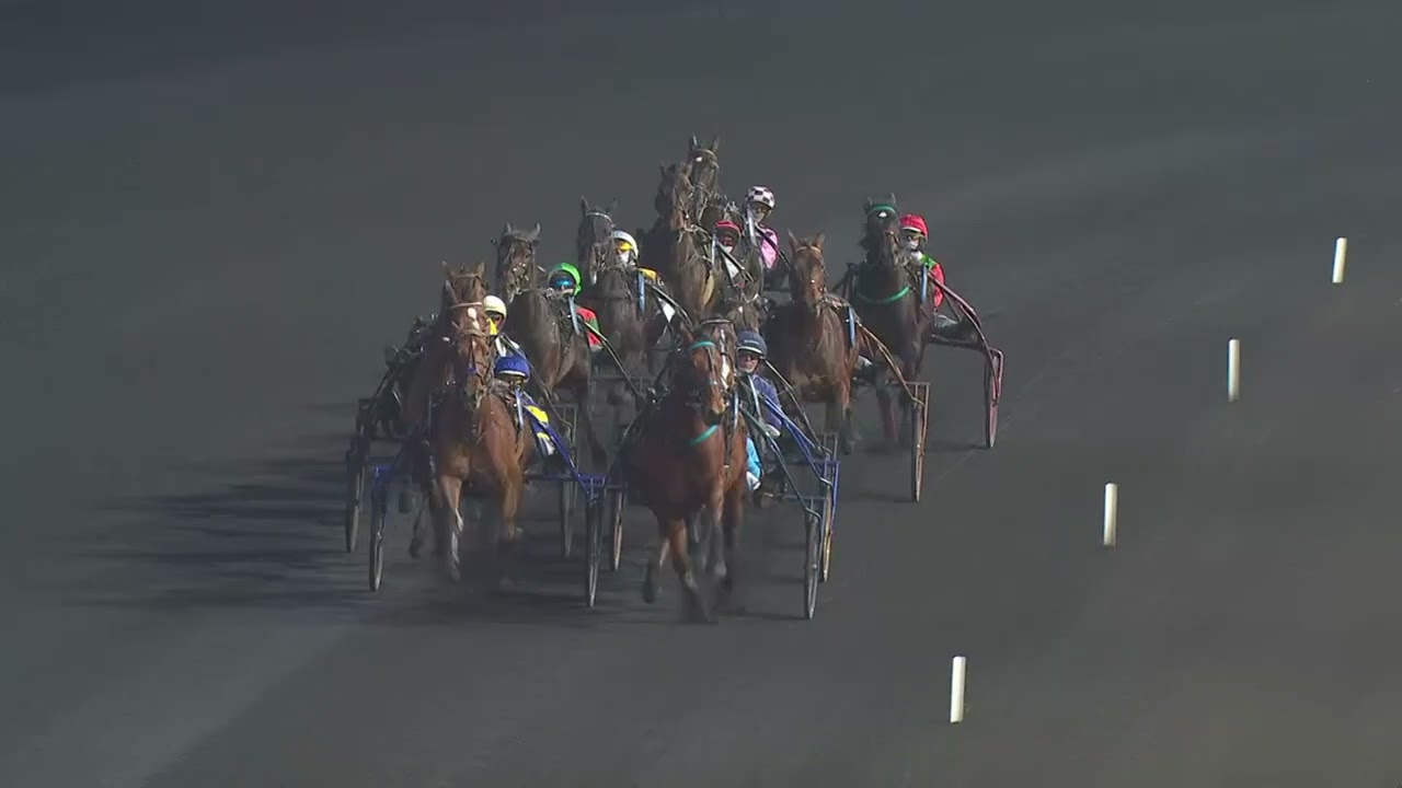 PRIX BOLD EAGLE 2026 : Liberté de Choisel et Anthony Barrier vainqueurs