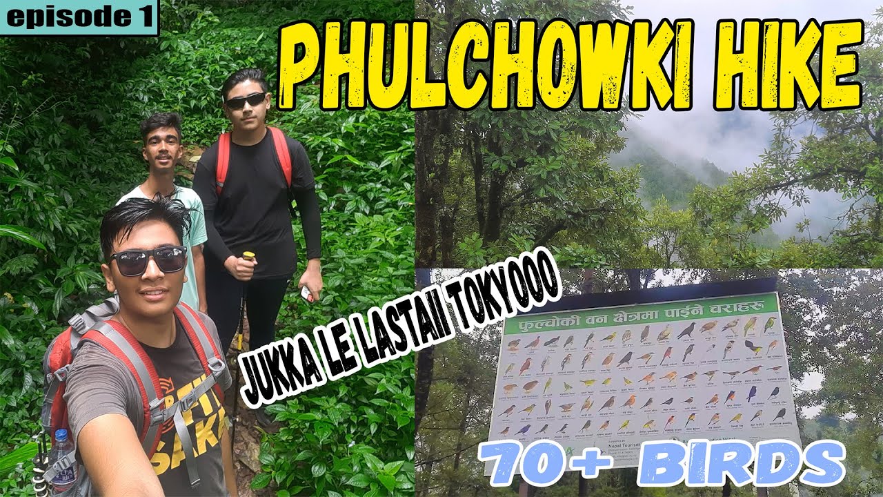 Hike to Phulchowki | Phulchowki Vlog | @OjasAcharya @Gavsthetics.
