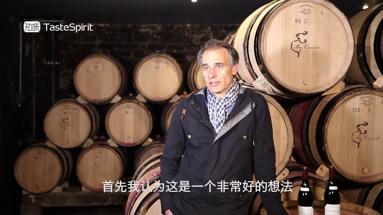 勃艮第顶级酒庄的风土哲学 | la philosophie du terroir de Bourgogne