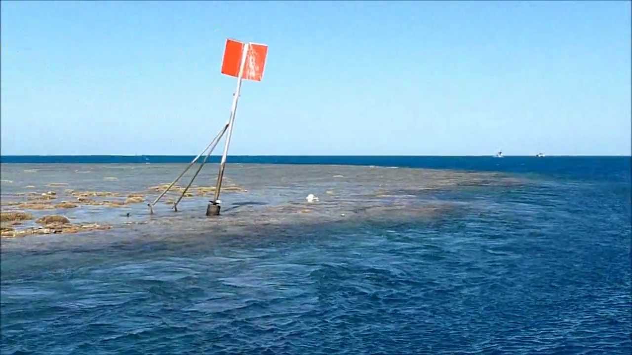 Fitzroy Reef